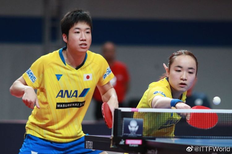 王祉怡的胜 王祉怡的胜