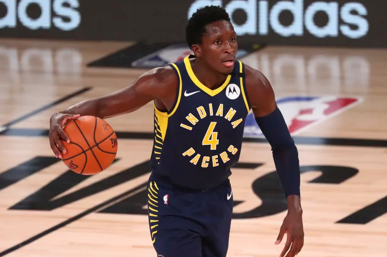 他们的身体 他们的身体