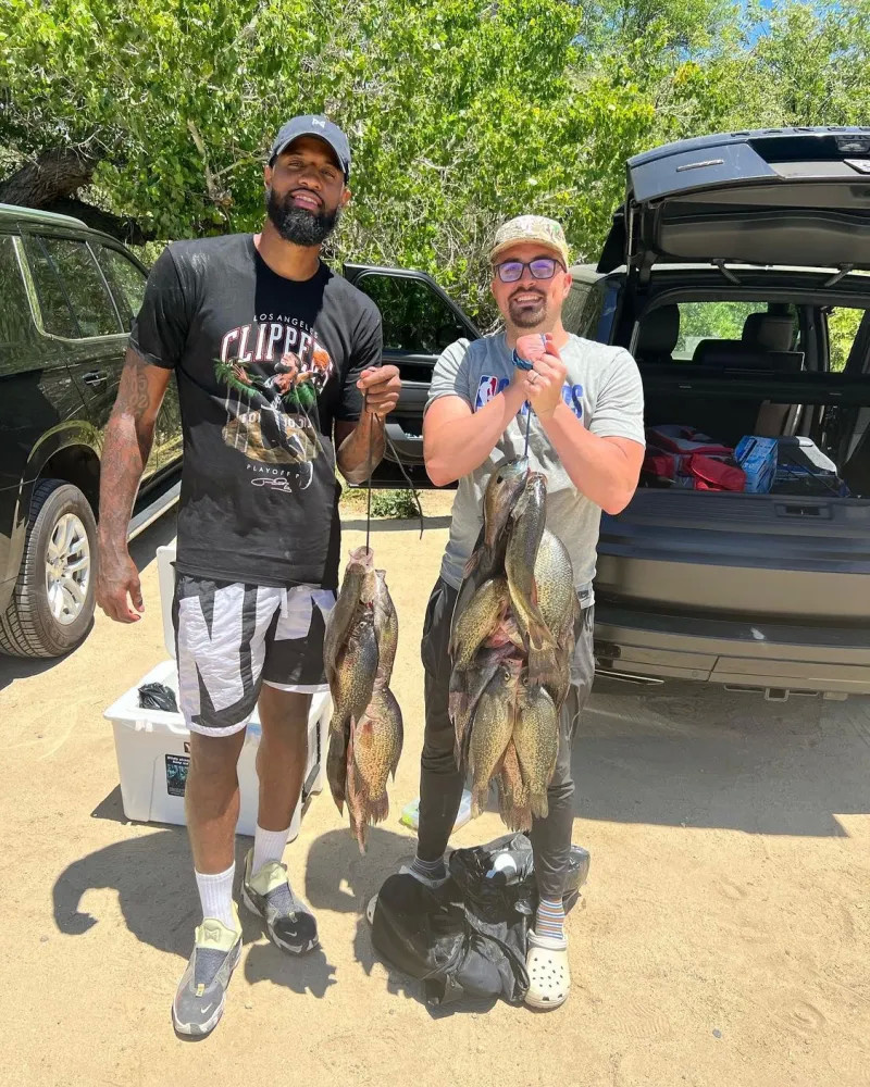 织紧密的中 织紧密的中