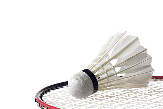 青训与对抗 青训与对抗